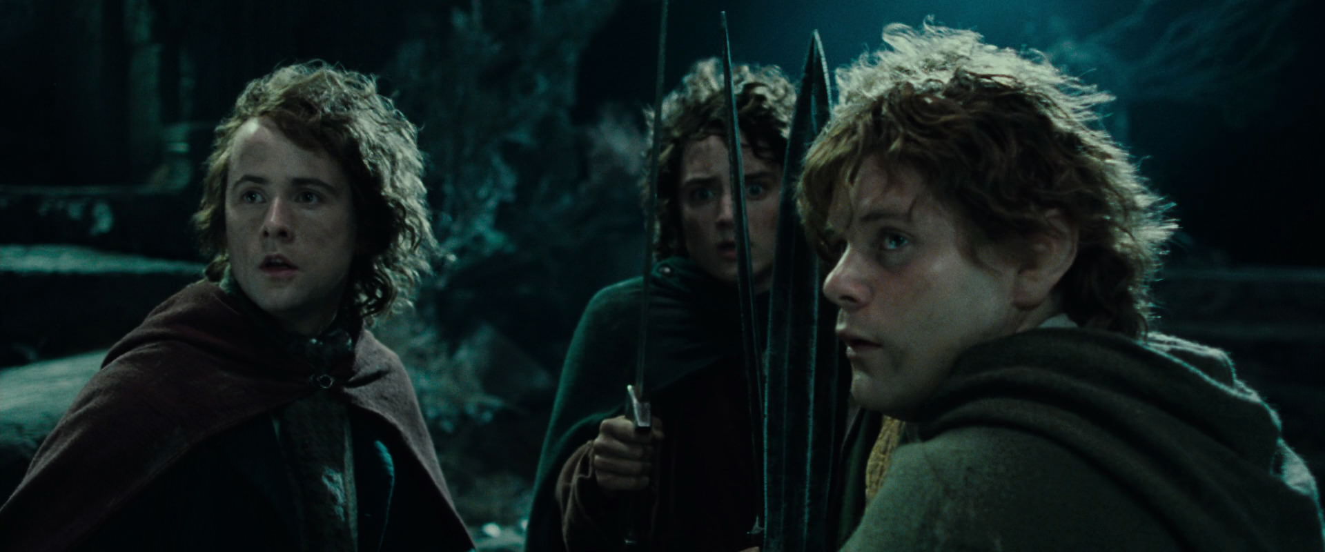 The Lord of the Rings: The Fellowship of the Ring (2001) HD screenshot 8432