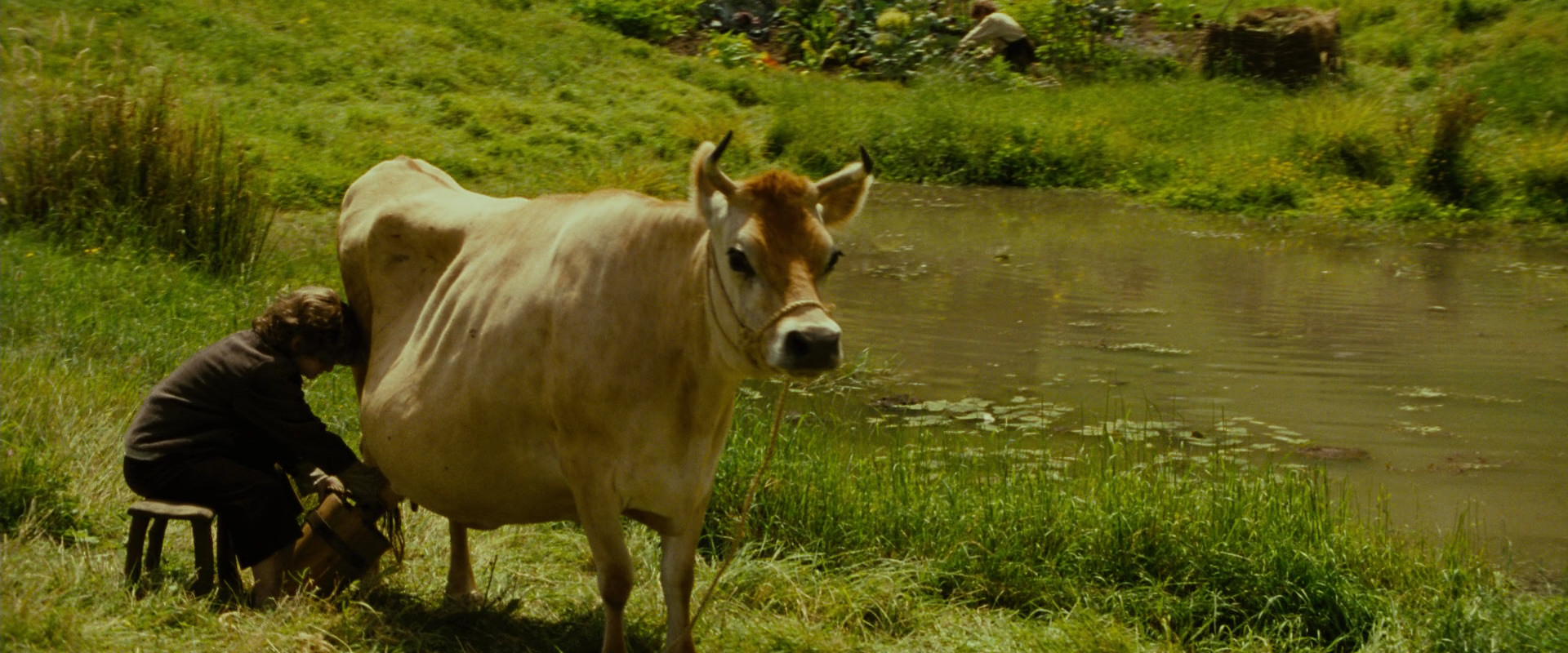 The Lord of the Rings: The Fellowship of the Ring (2001) HD screenshot 845