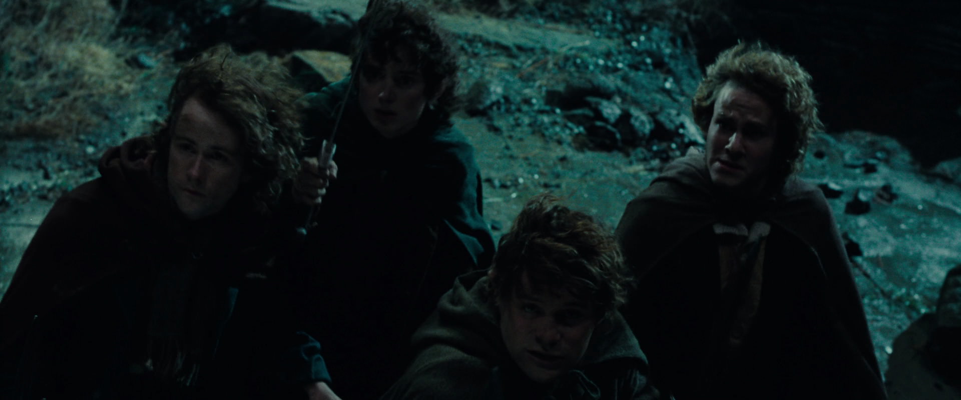 The Lord of the Rings: The Fellowship of the Ring (2001) screencap 8454