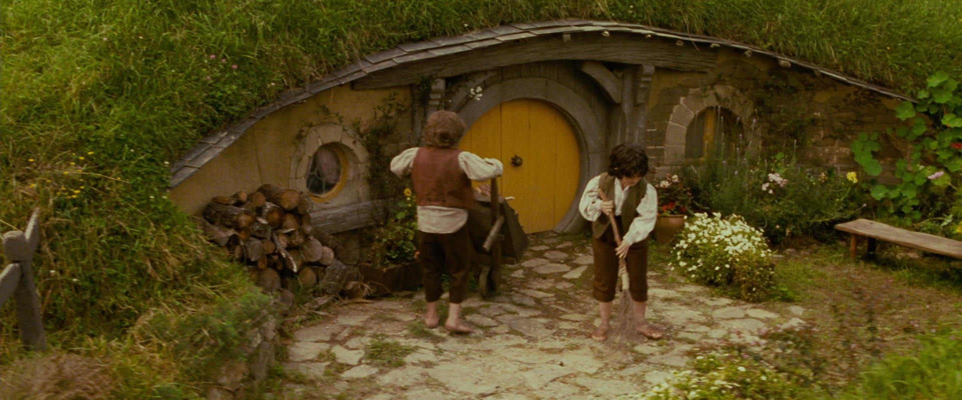 The Lord of the Rings: The Fellowship of the Ring (2001) screencap 846