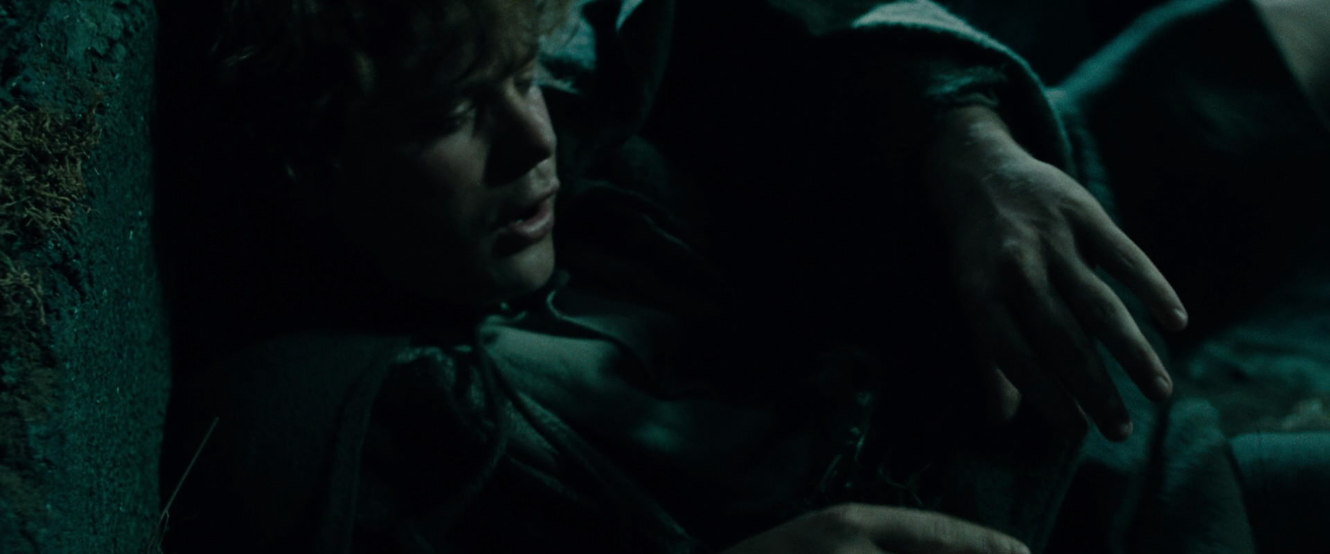The Lord of the Rings: The Fellowship of the Ring (2001) HD screenshot 8462