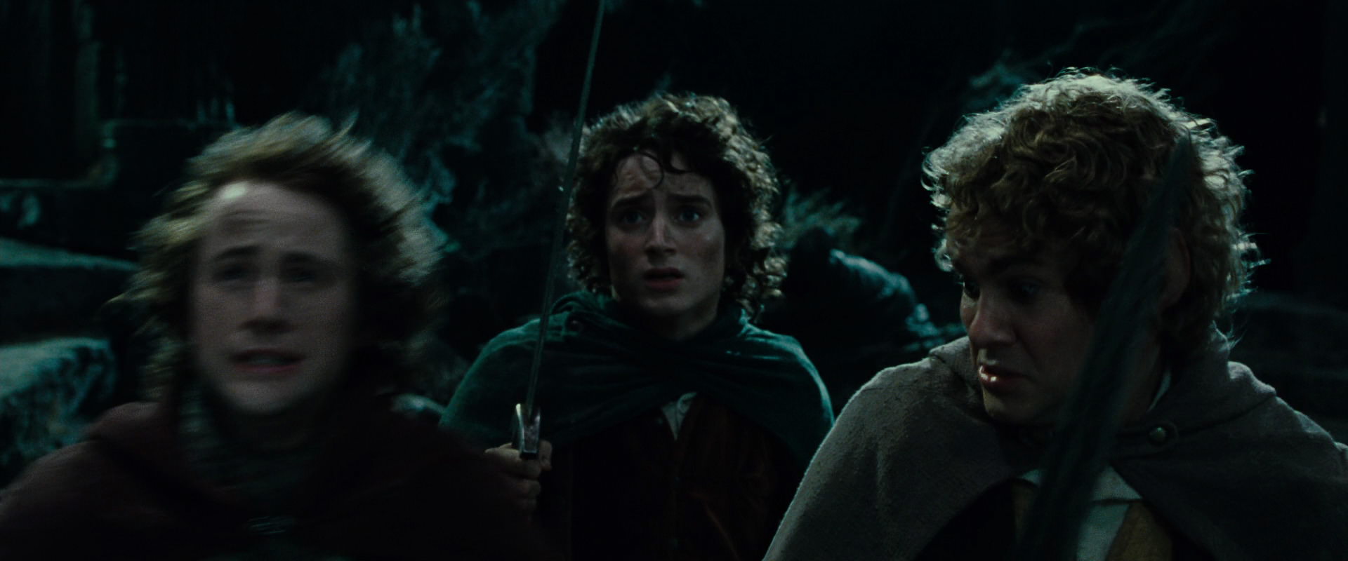 The Lord of the Rings: The Fellowship of the Ring (2001) screencap 8463
