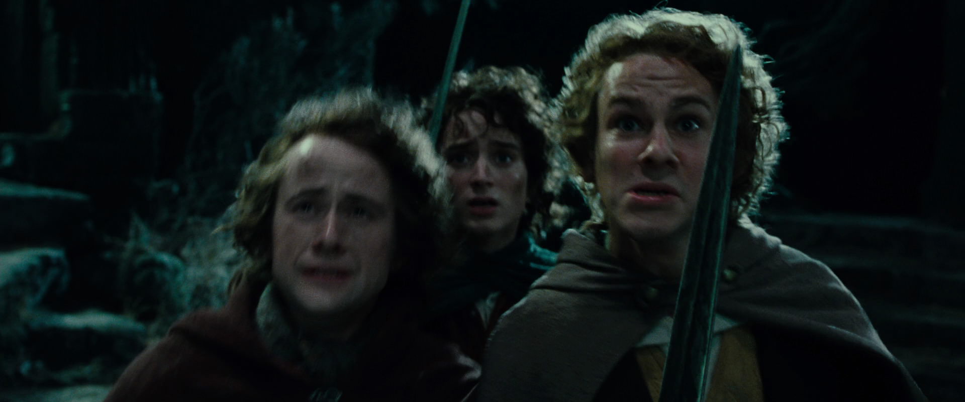 The Lord of the Rings: The Fellowship of the Ring (2001) movie still 8464