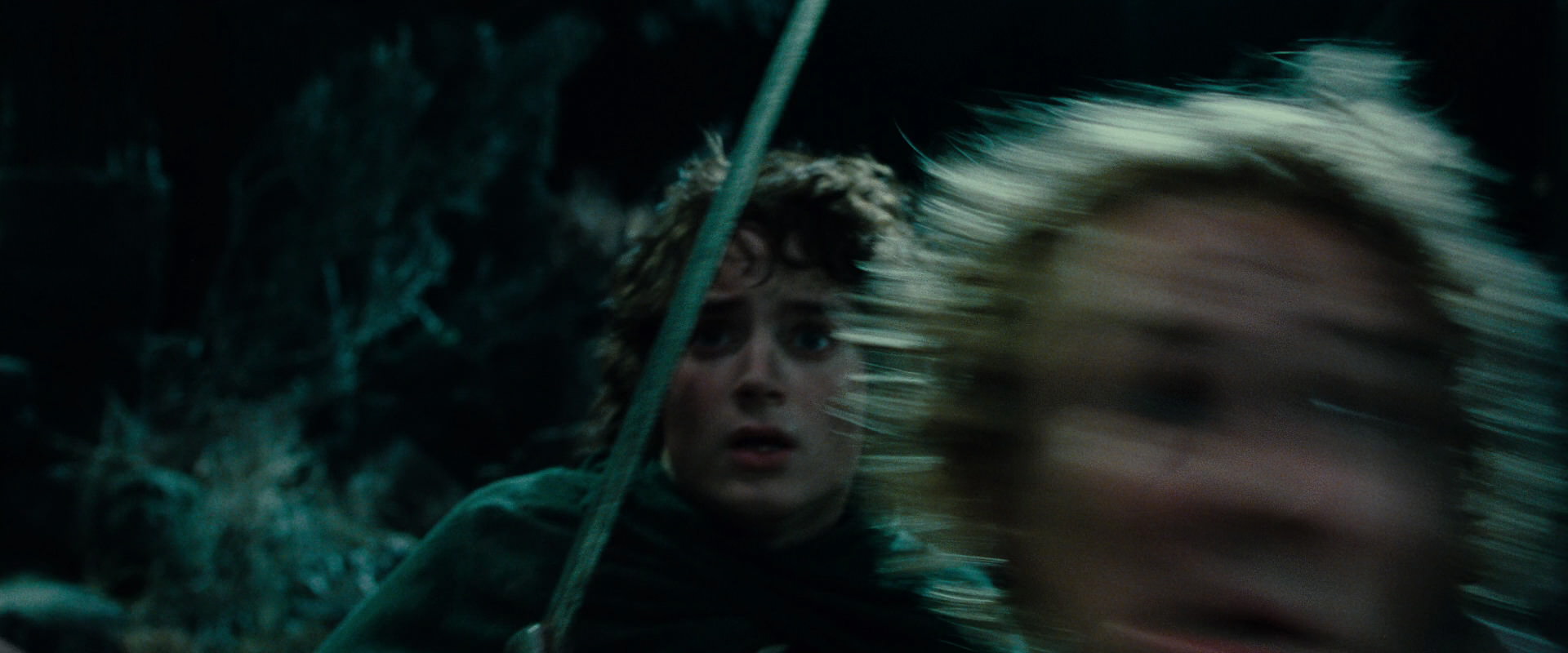 The Lord of the Rings: The Fellowship of the Ring (2001) screencap 8466