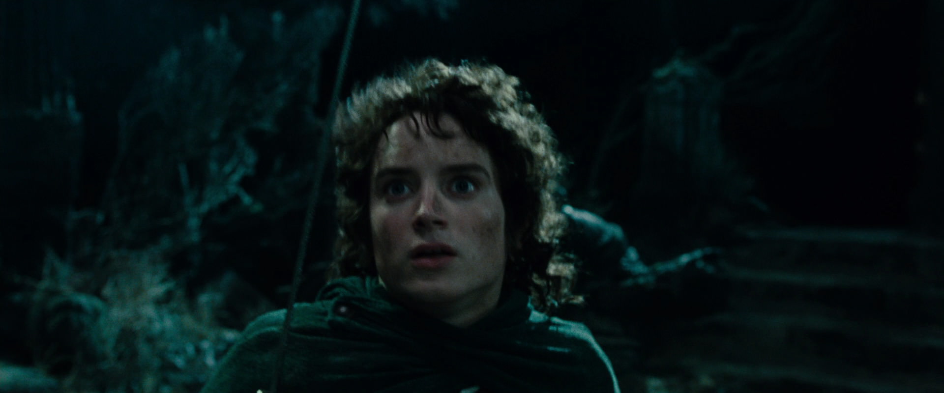 The Lord of the Rings: The Fellowship of the Ring (2001) movie still 8467