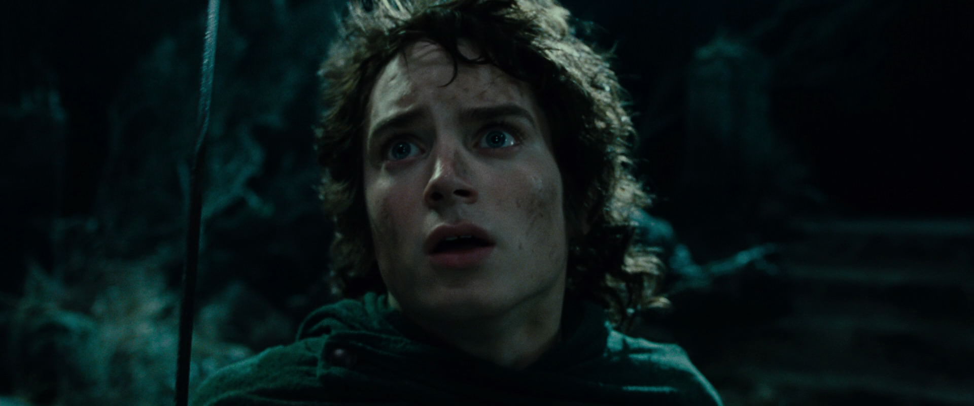 The Lord of the Rings: The Fellowship of the Ring (2001) screencap 8469