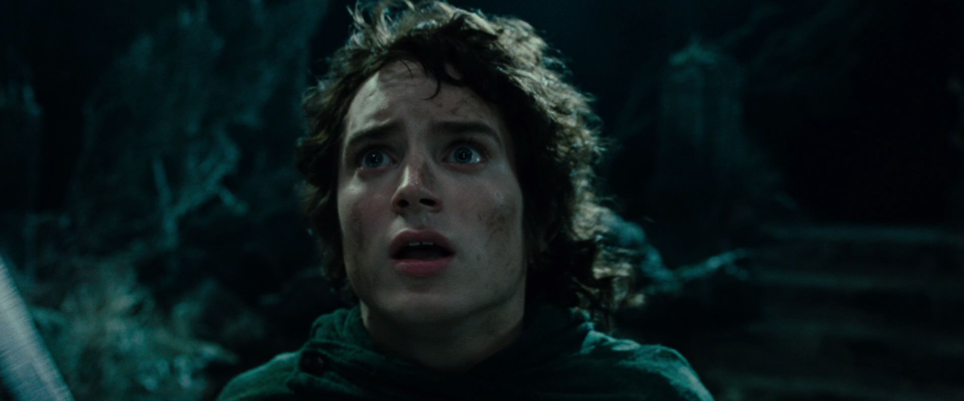 The Lord of the Rings: The Fellowship of the Ring (2001) HD screenshot 8471