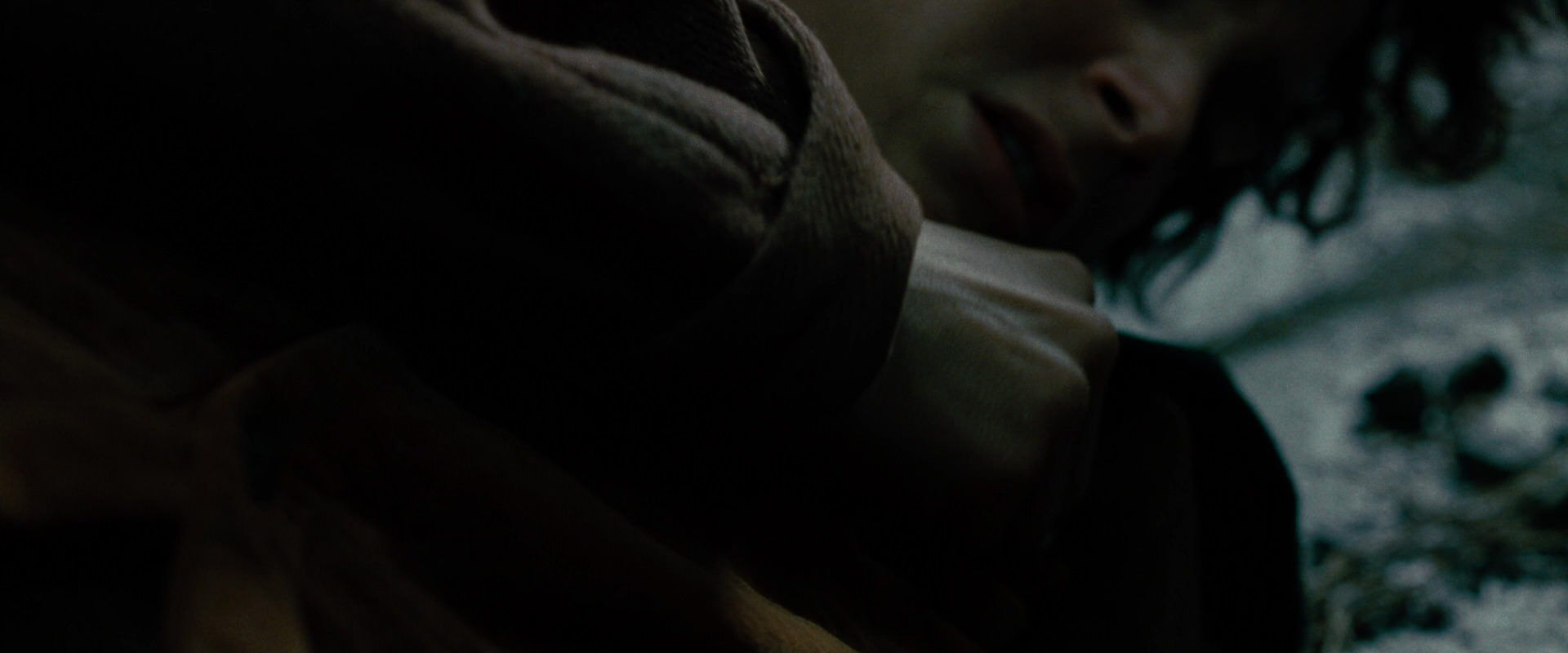 The Lord of the Rings: The Fellowship of the Ring (2001) screencap 8487