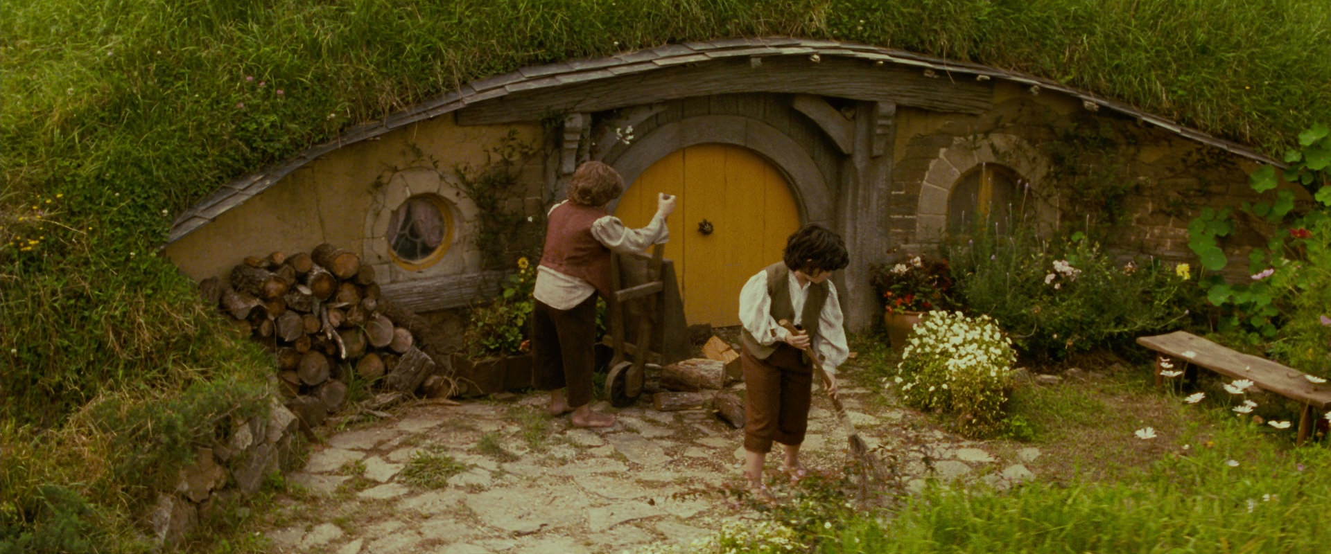 The Lord of the Rings: The Fellowship of the Ring (2001) screencap 849