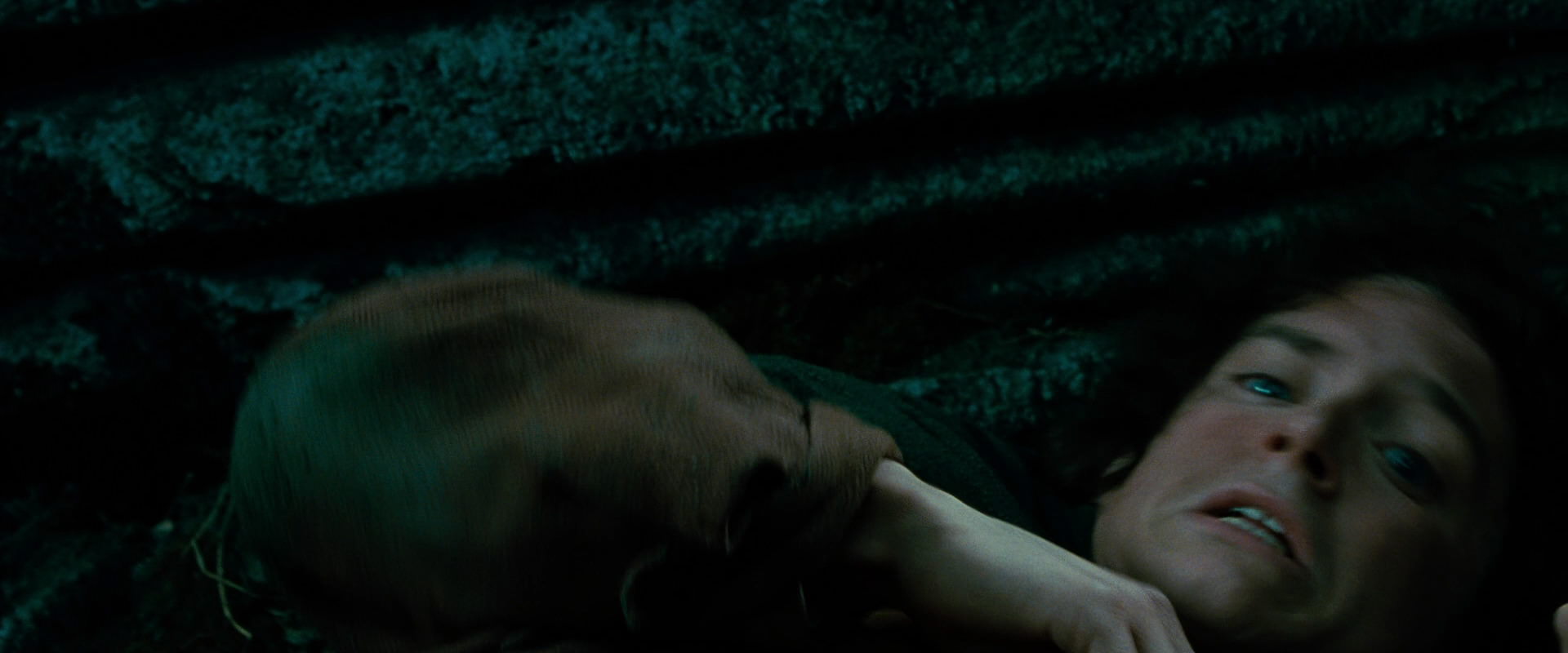 The Lord of the Rings: The Fellowship of the Ring (2001) screencap 8517