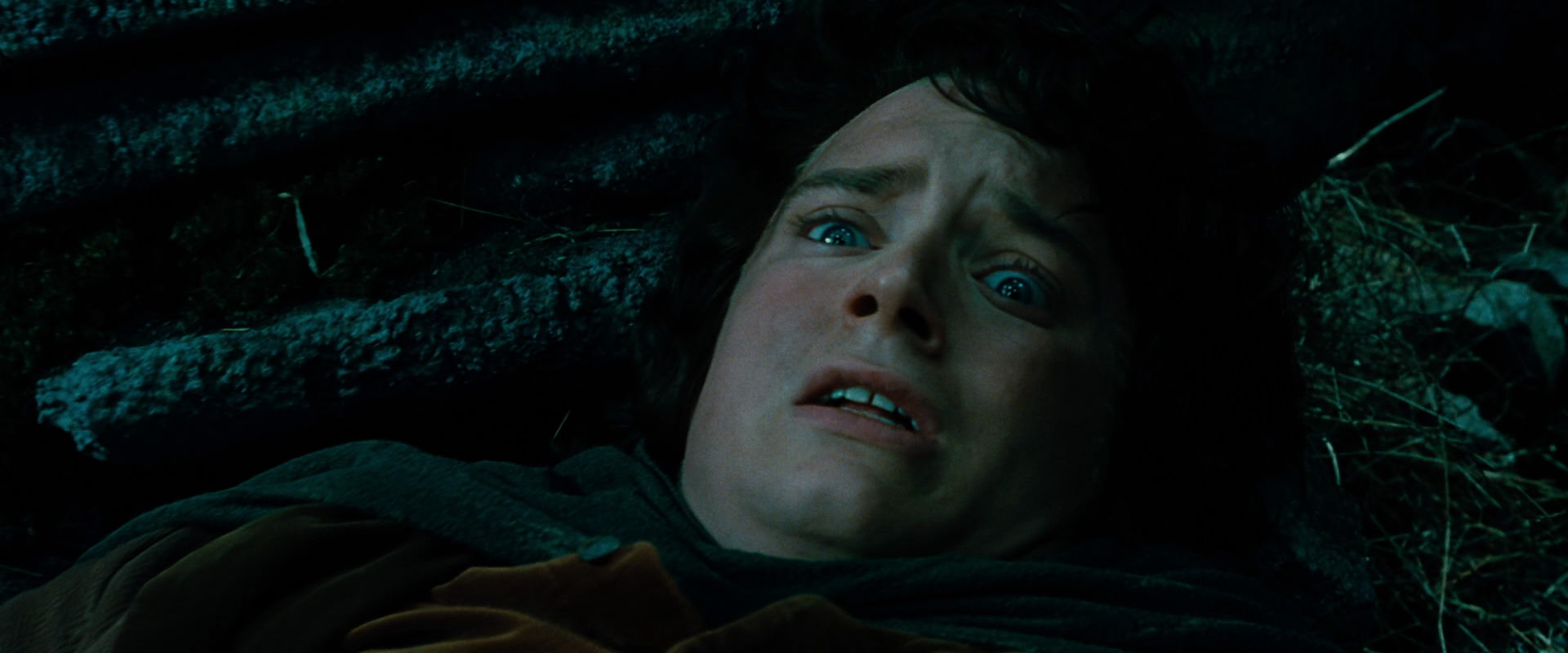 The Lord of the Rings: The Fellowship of the Ring (2001) movie still 8521