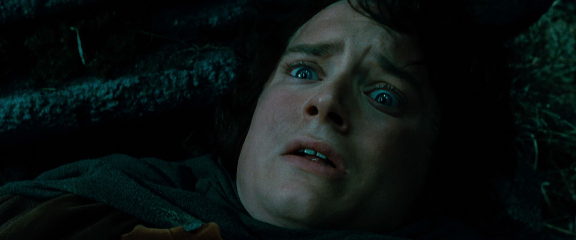 The Lord of the Rings: The Fellowship of the Ring (2001) screencap 8523