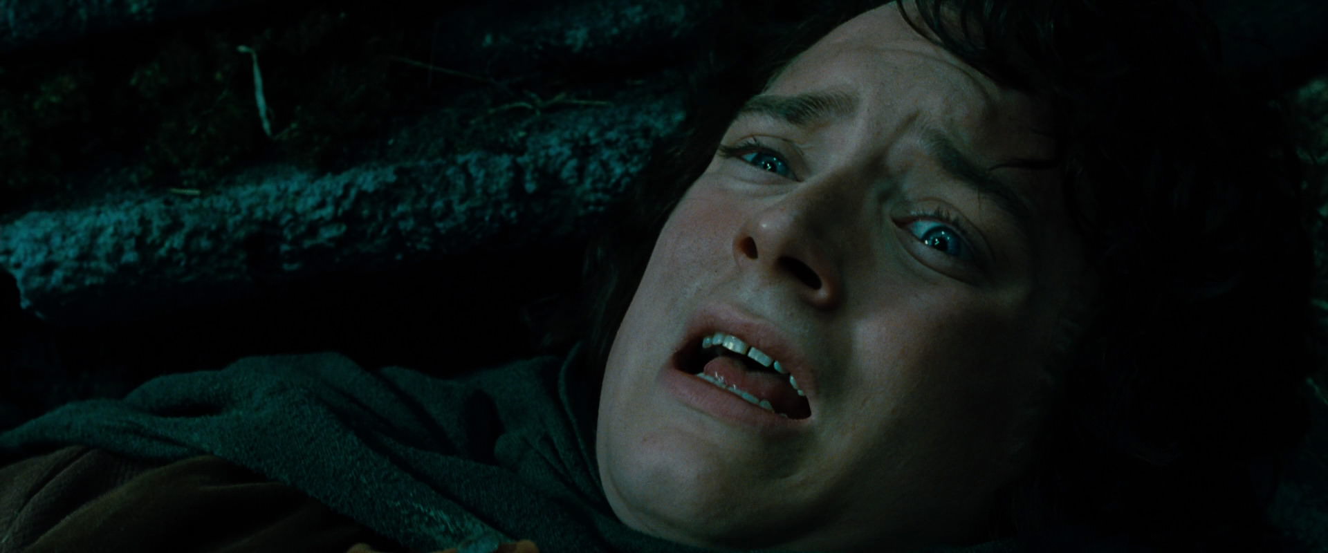 The Lord of the Rings: The Fellowship of the Ring (2001) HD screenshot 8528