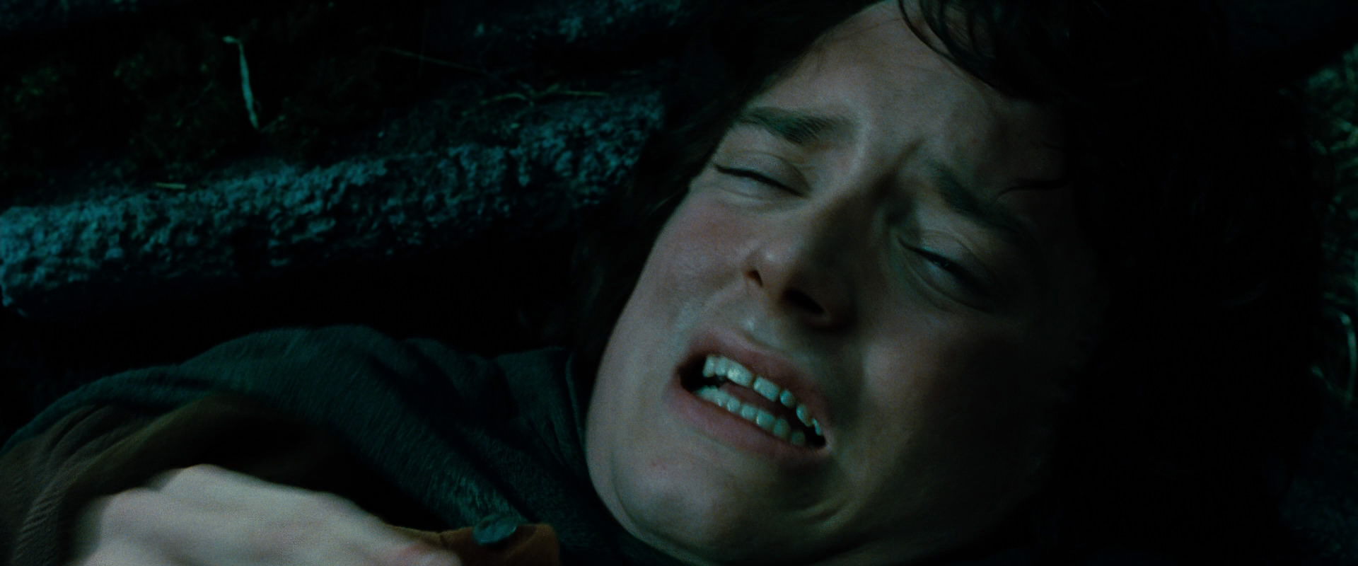 The Lord of the Rings: The Fellowship of the Ring (2001) screencap 8532