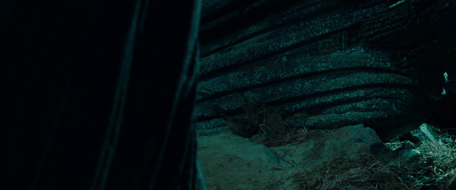 The Lord of the Rings: The Fellowship of the Ring (2001) screencap 8535
