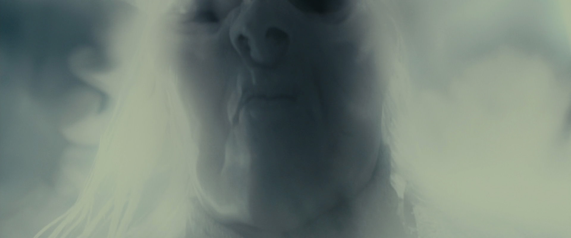 The Lord of the Rings: The Fellowship of the Ring (2001) screencap 8553