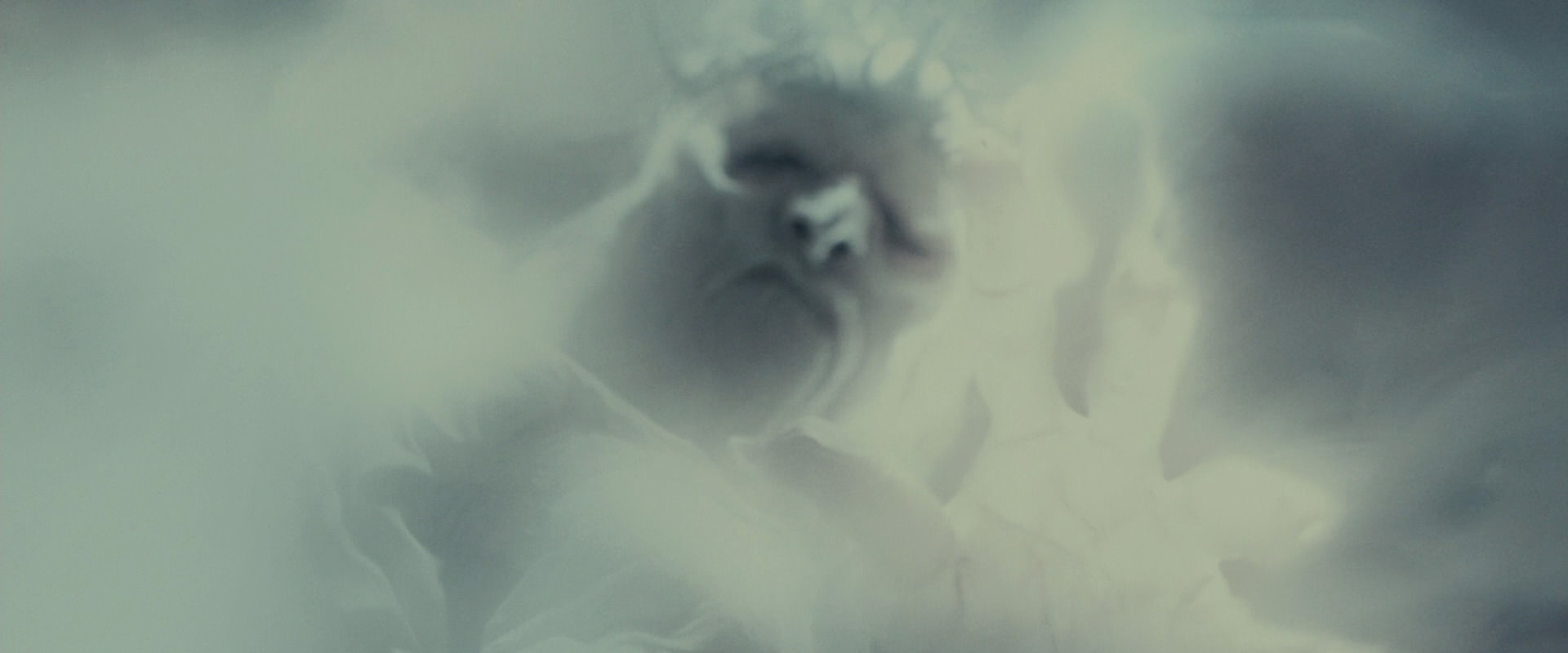 The Lord of the Rings: The Fellowship of the Ring (2001) HD screenshot 8594