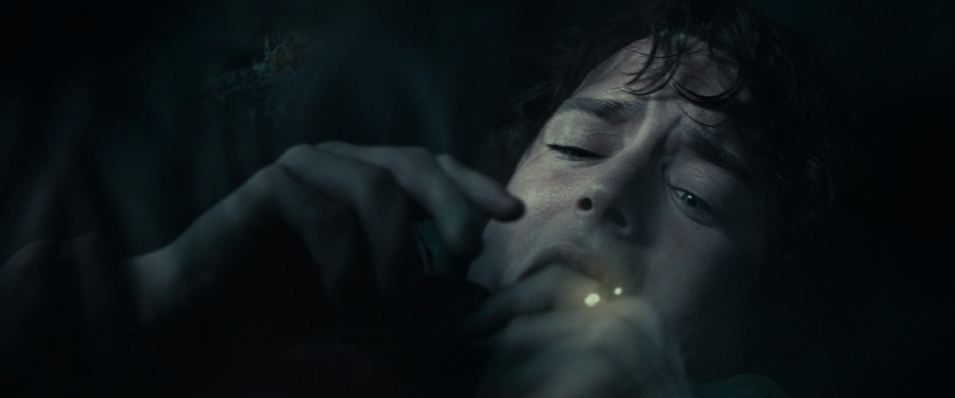 The Lord of the Rings: The Fellowship of the Ring (2001) screencap 8613