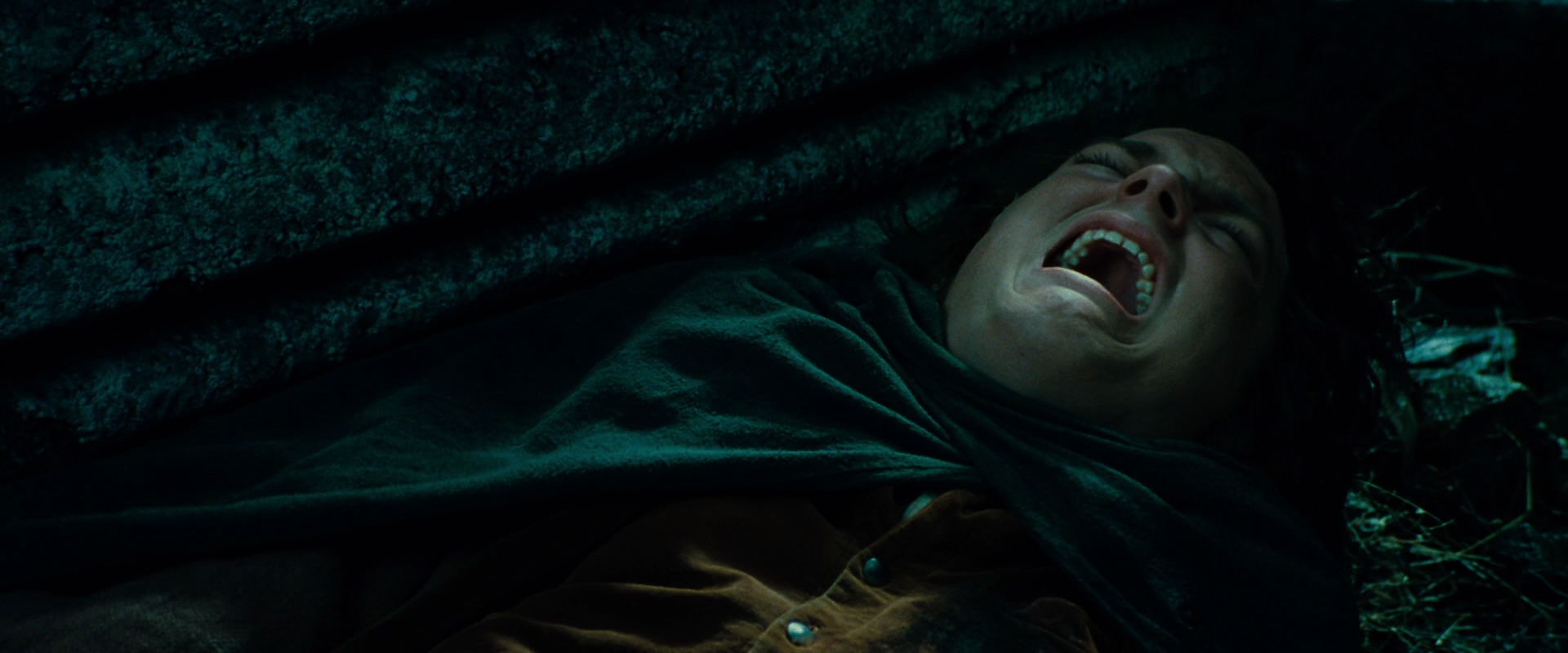 The Lord of the Rings: The Fellowship of the Ring (2001) screencap 8622