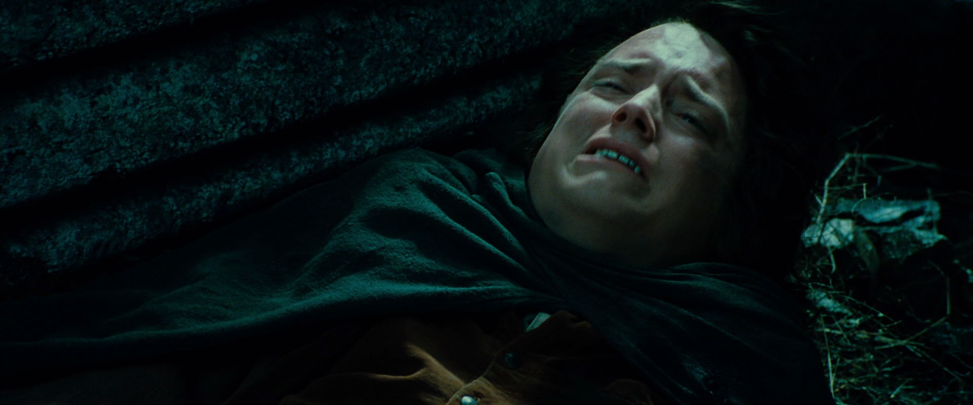 The Lord of the Rings: The Fellowship of the Ring (2001) HD screenshot 8624