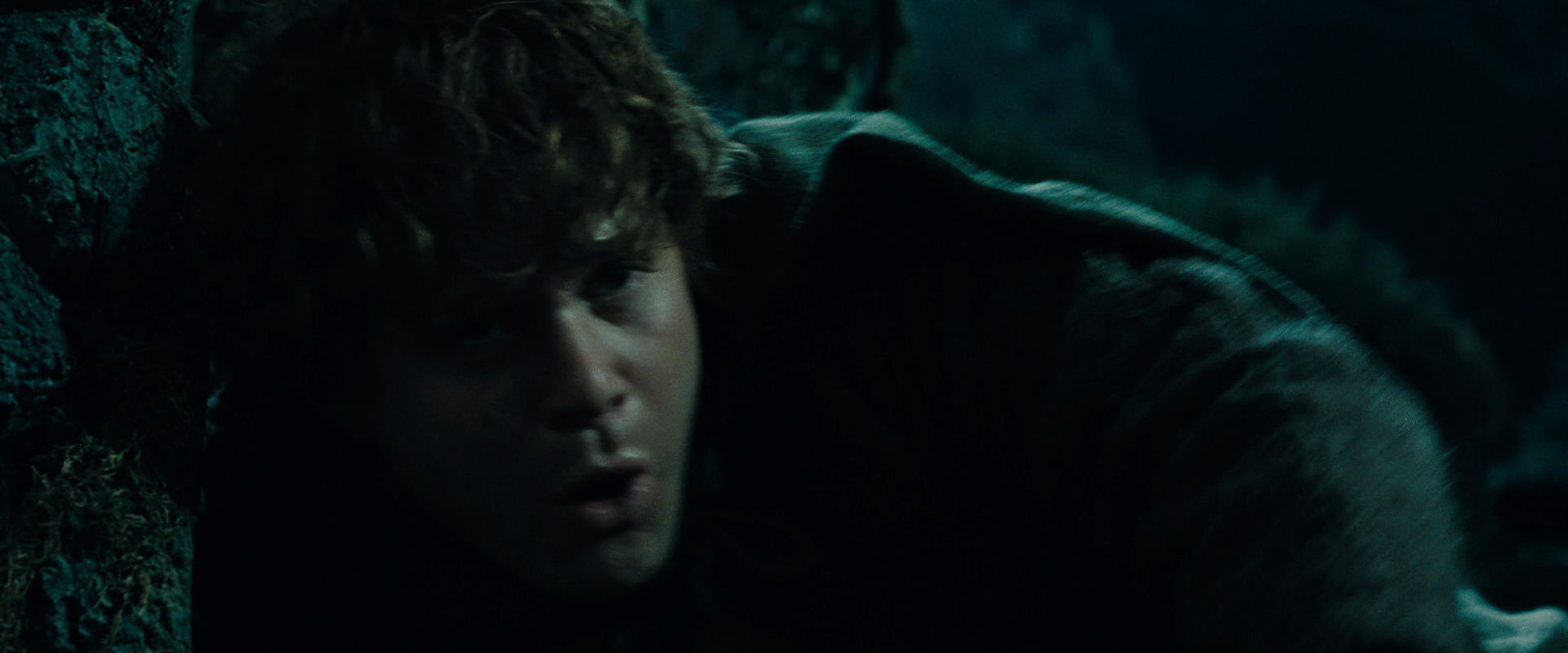 The Lord of the Rings: The Fellowship of the Ring (2001) movie still 8626