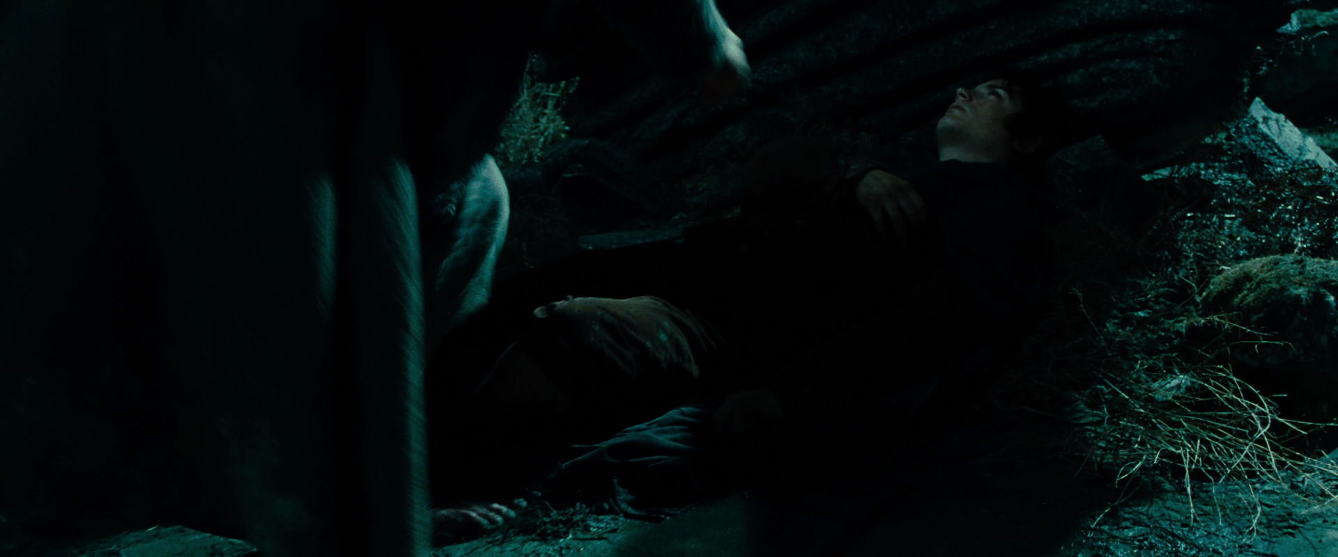 The Lord of the Rings: The Fellowship of the Ring (2001) HD screenshot 8633
