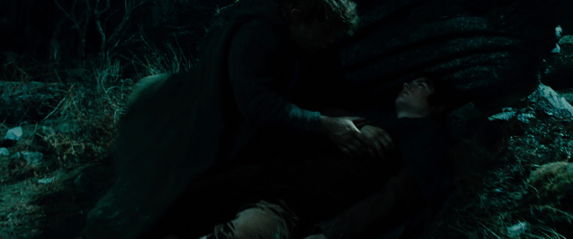 The Lord of the Rings: The Fellowship of the Ring (2001) screencap 8634