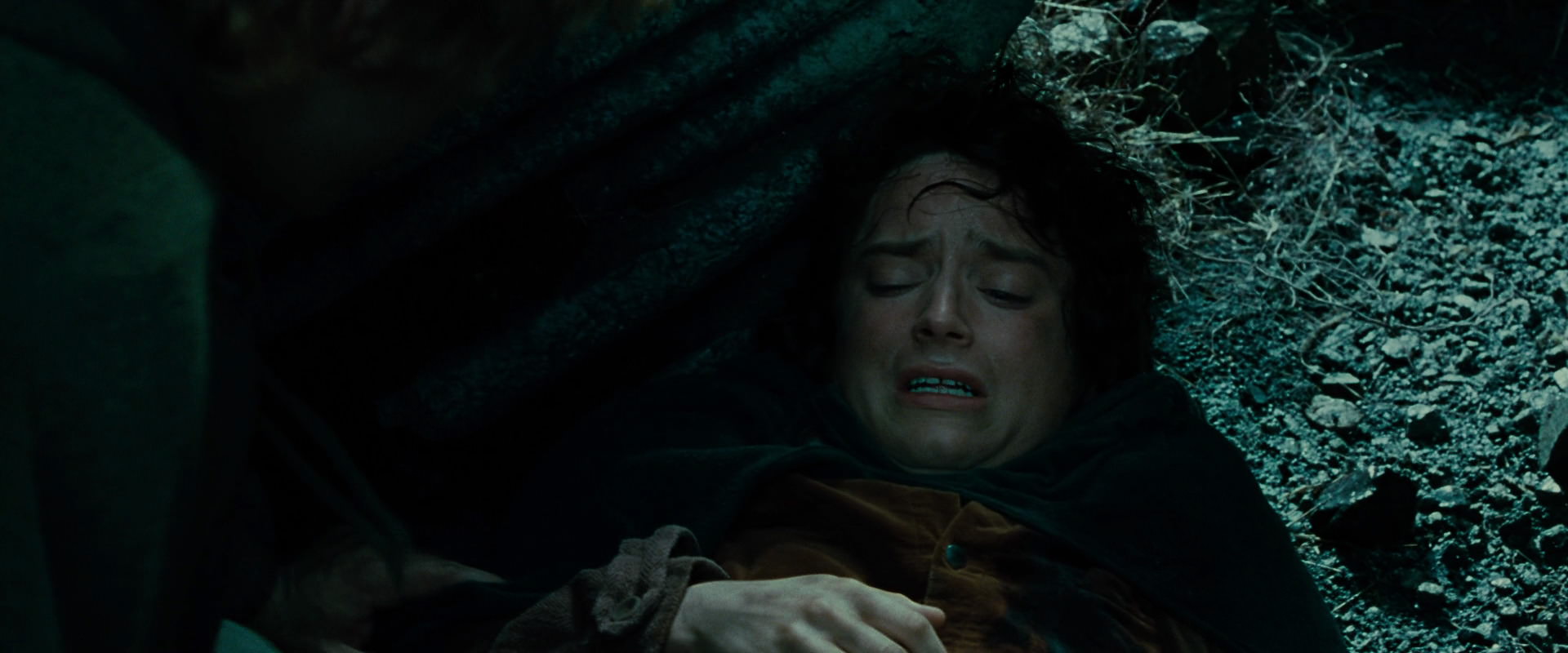 The Lord of the Rings: The Fellowship of the Ring (2001) movie still 8635
