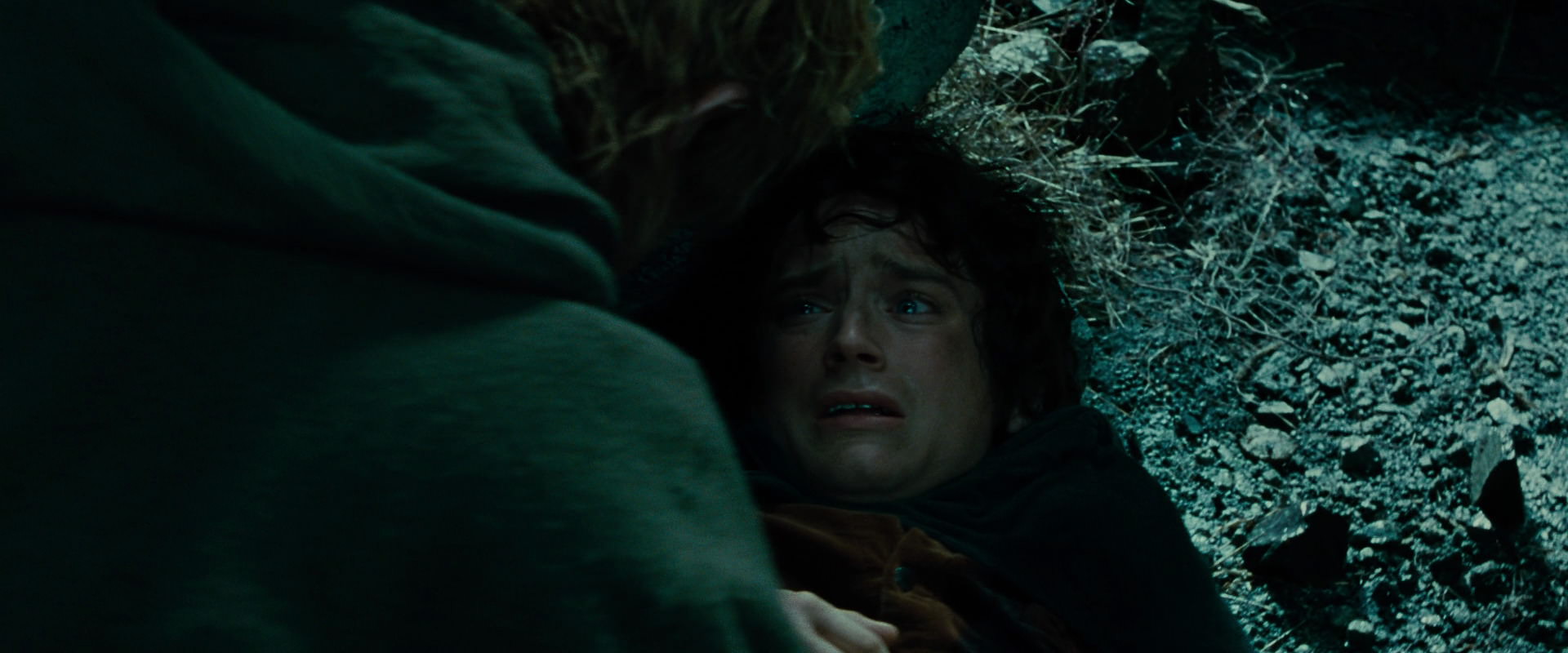 The Lord of the Rings: The Fellowship of the Ring (2001) screencap 8637