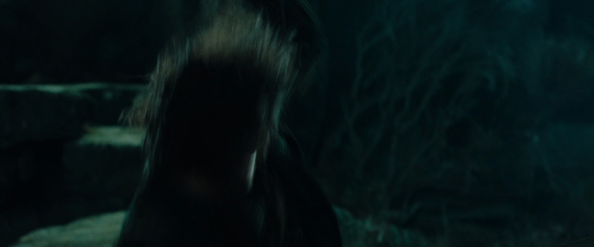 The Lord of the Rings: The Fellowship of the Ring (2001) screencap 8646