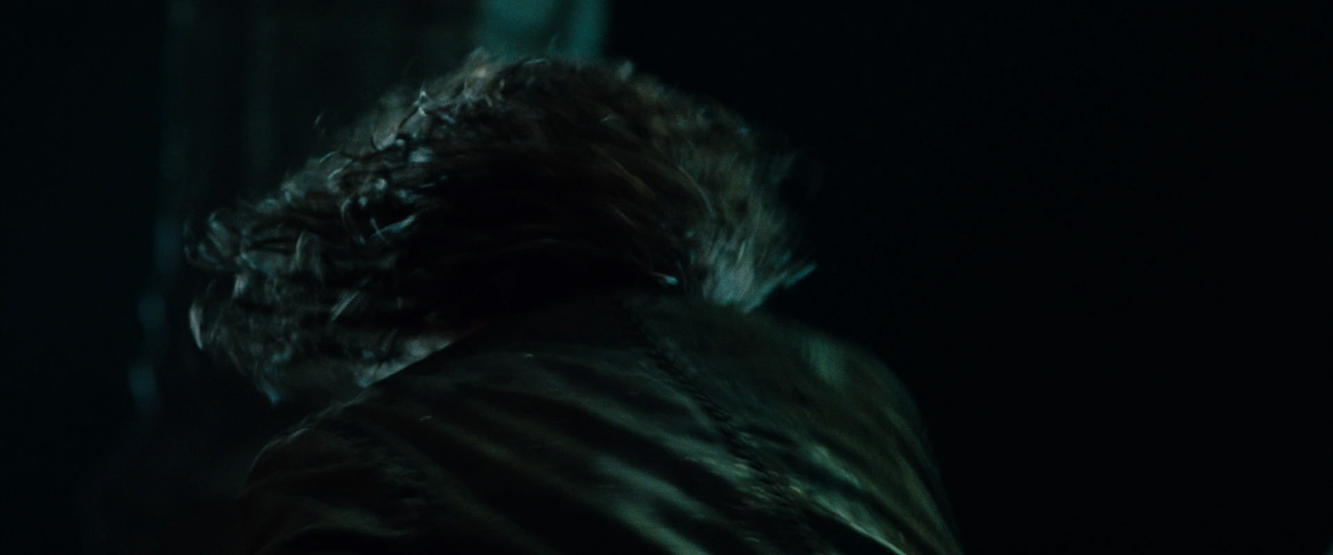 The Lord of the Rings: The Fellowship of the Ring (2001) screencap 8655