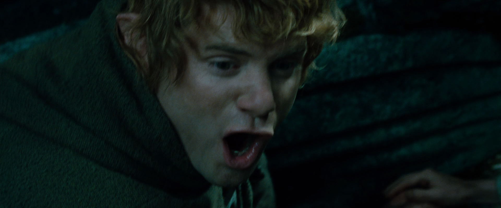 The Lord of the Rings: The Fellowship of the Ring (2001) screencap 8715