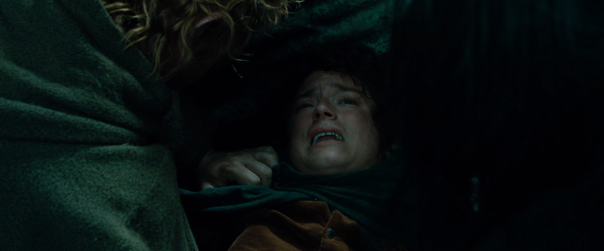 The Lord of the Rings: The Fellowship of the Ring (2001) screencap 8721