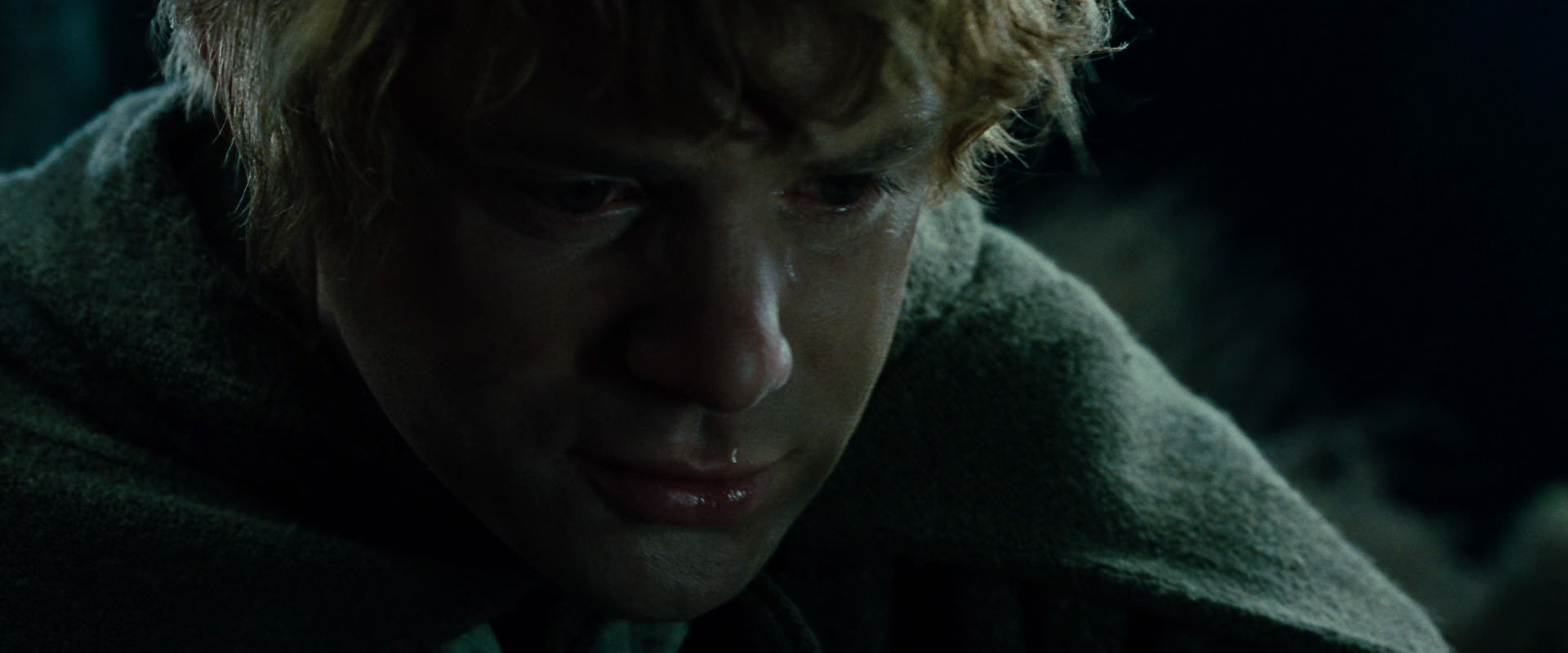 The Lord of the Rings: The Fellowship of the Ring (2001) screencap 8733