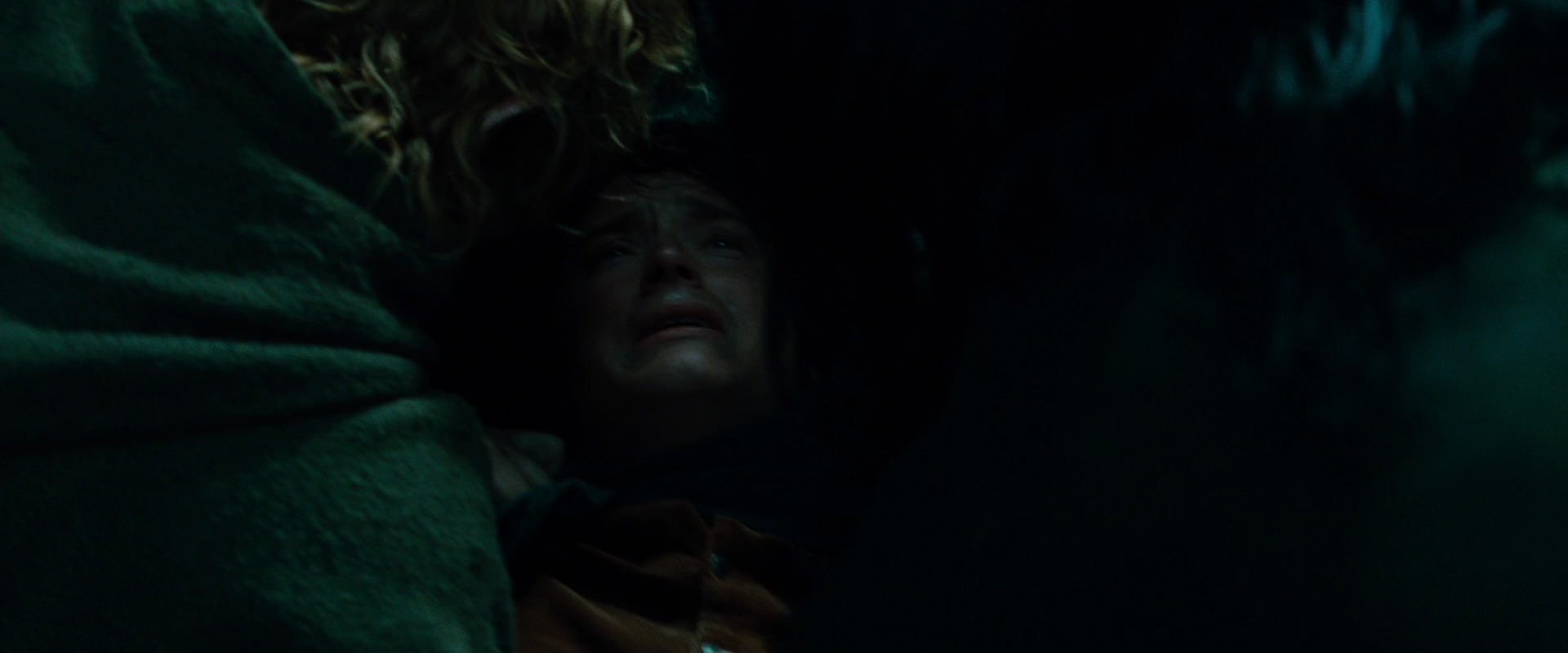 The Lord of the Rings: The Fellowship of the Ring (2001) screencap 8736