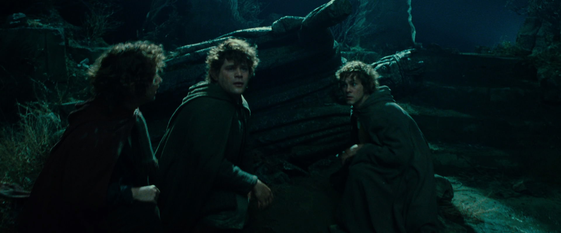 The Lord of the Rings: The Fellowship of the Ring (2001) screencap 8745