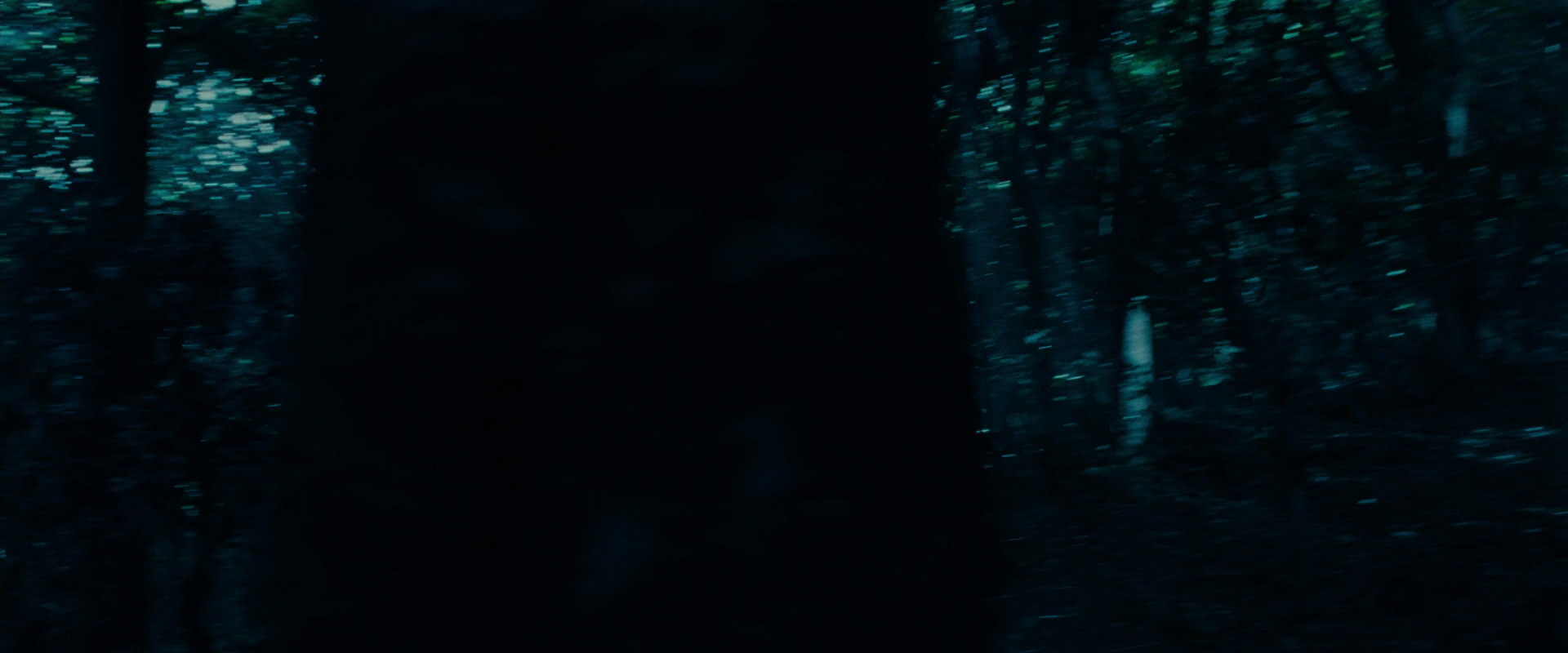 The Lord of the Rings: The Fellowship of the Ring (2001) screencap 8748