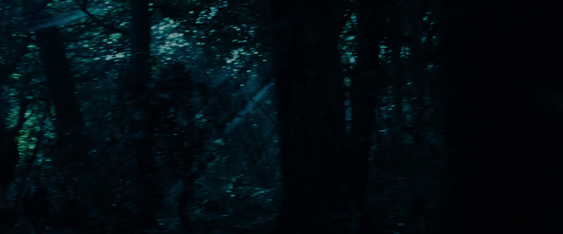 The Lord of the Rings: The Fellowship of the Ring (2001) movie still 8749