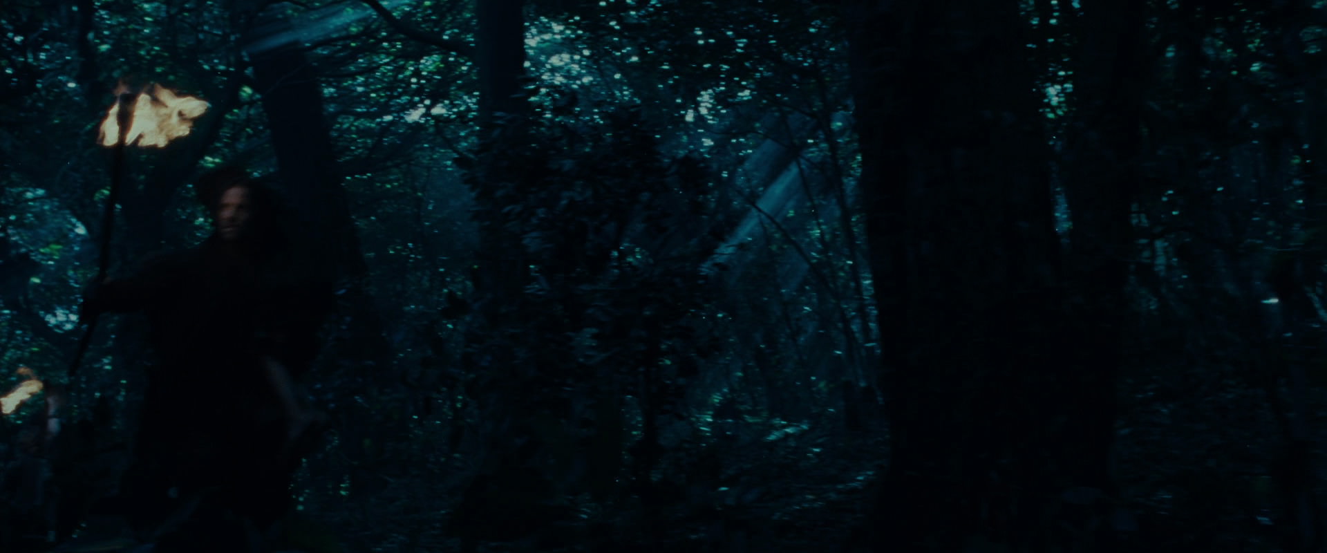 The Lord of the Rings: The Fellowship of the Ring (2001) HD screenshot 8750