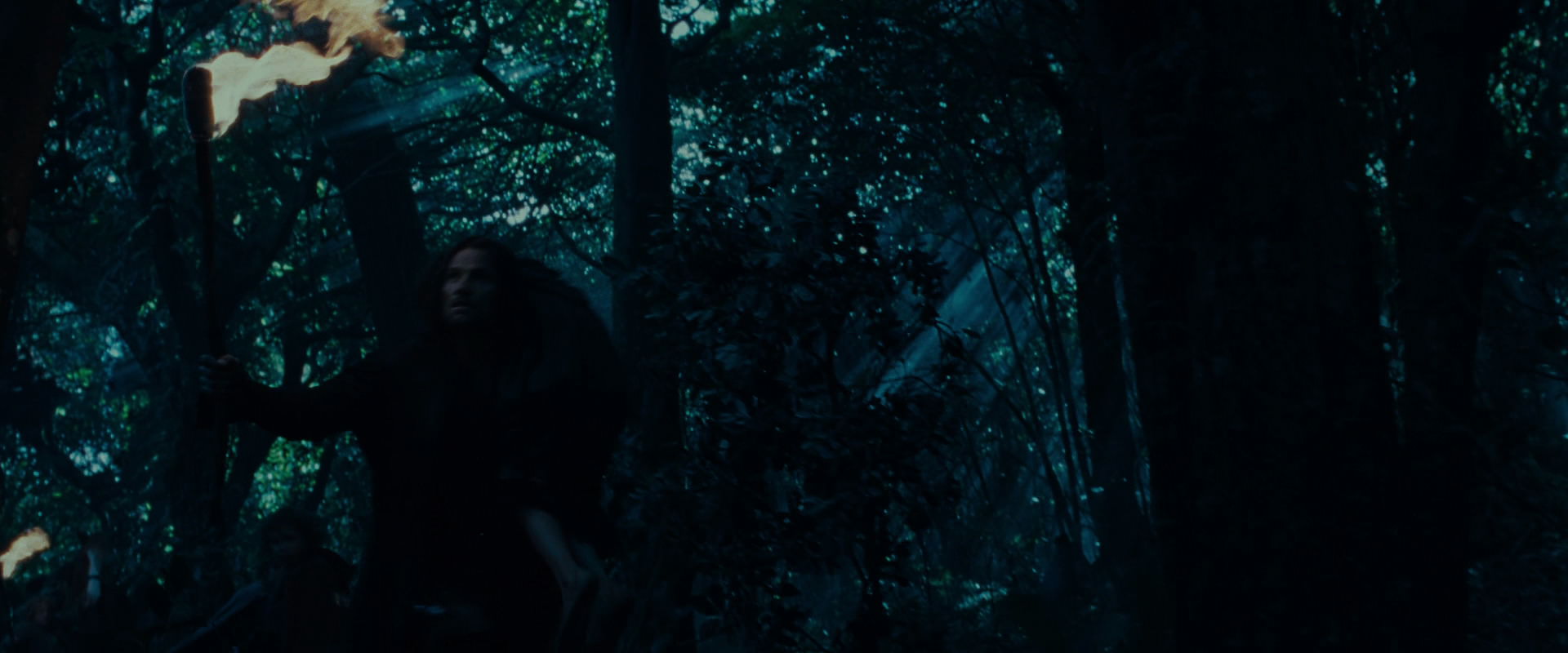 The Lord of the Rings: The Fellowship of the Ring (2001) screencap 8751