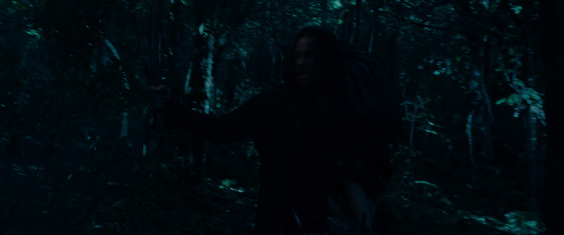 The Lord of the Rings: The Fellowship of the Ring (2001) movie still 8755