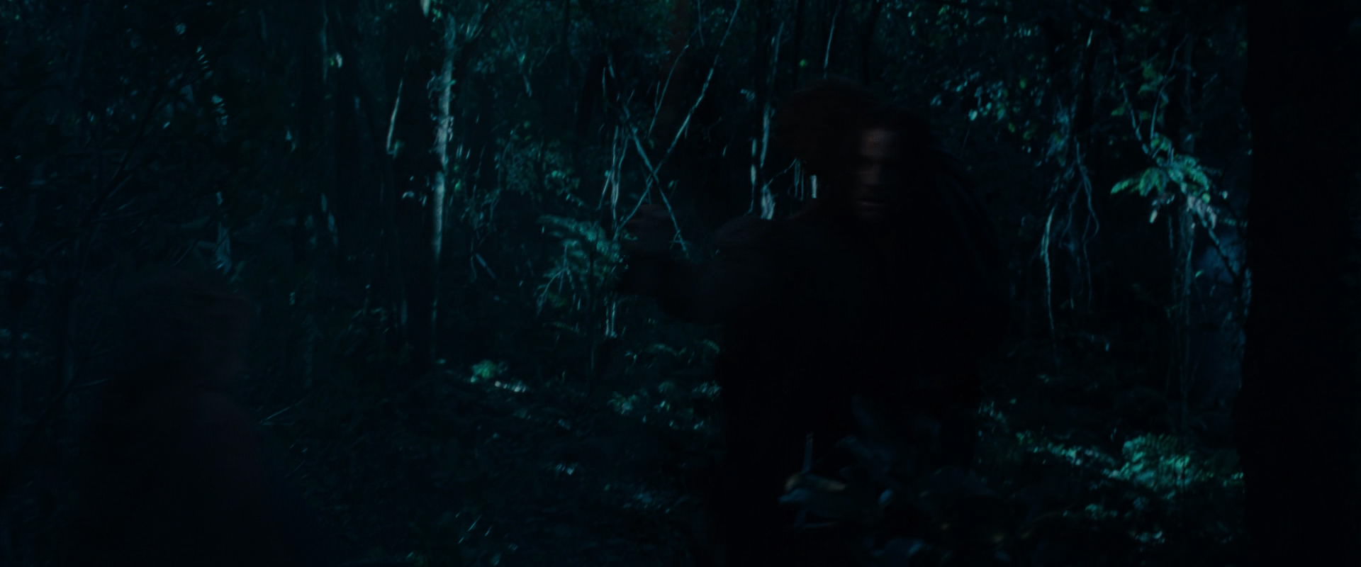 The Lord of the Rings: The Fellowship of the Ring (2001) HD screenshot 8756