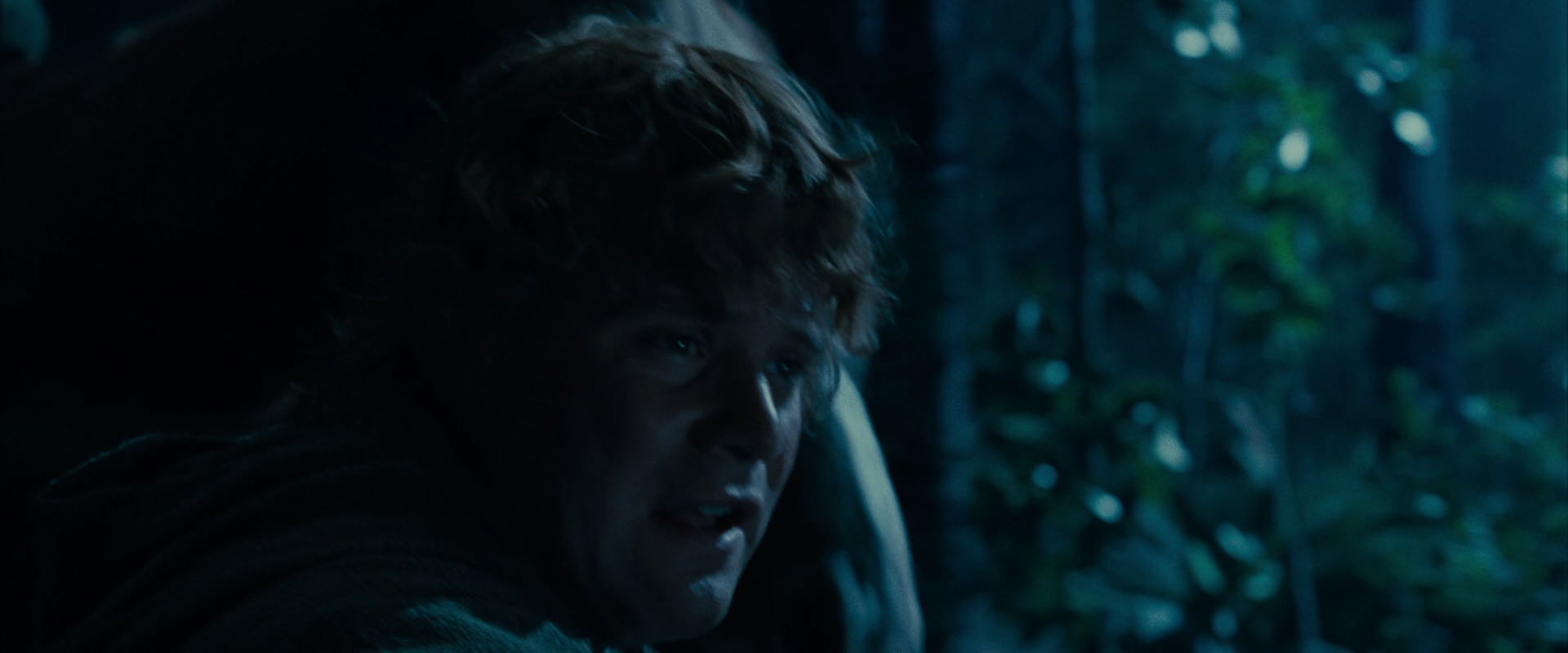 The Lord of the Rings: The Fellowship of the Ring (2001) screencap 8760