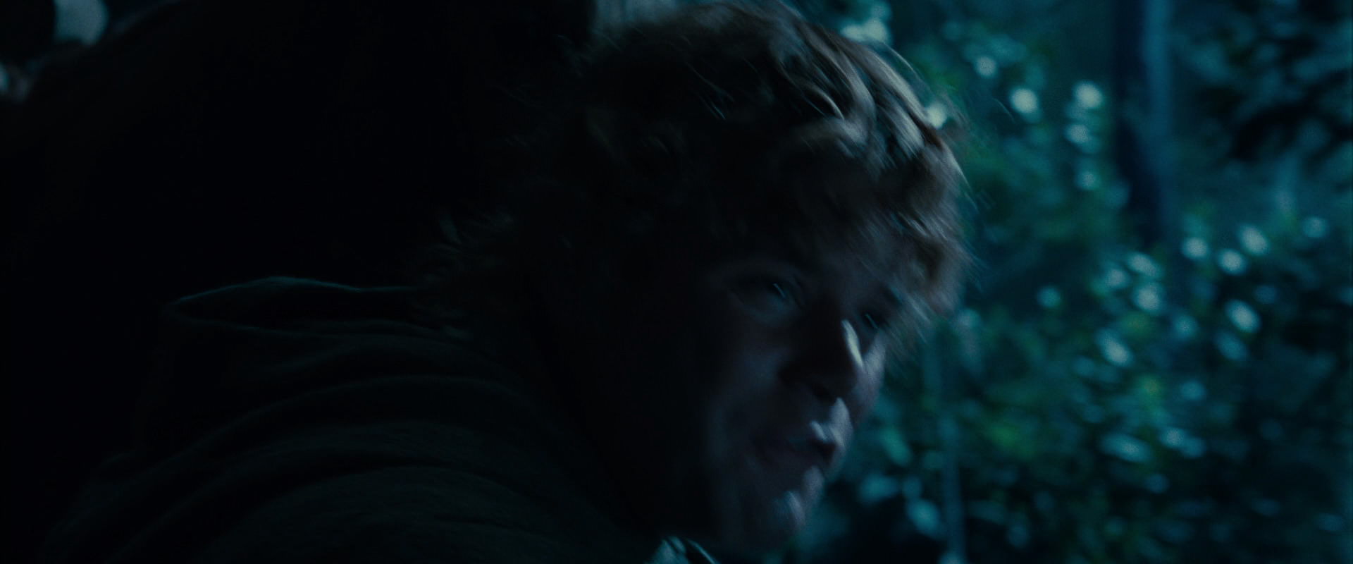 The Lord of the Rings: The Fellowship of the Ring (2001) movie still 8761