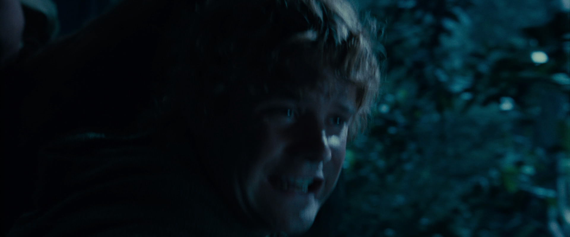 The Lord of the Rings: The Fellowship of the Ring (2001) HD screenshot 8762