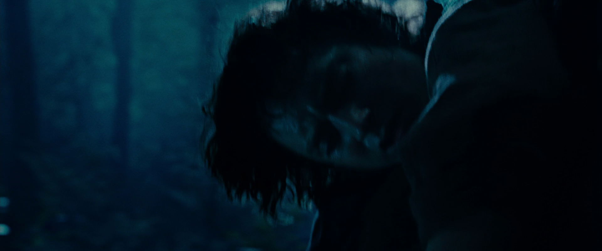 The Lord of the Rings: The Fellowship of the Ring (2001) screencap 8763