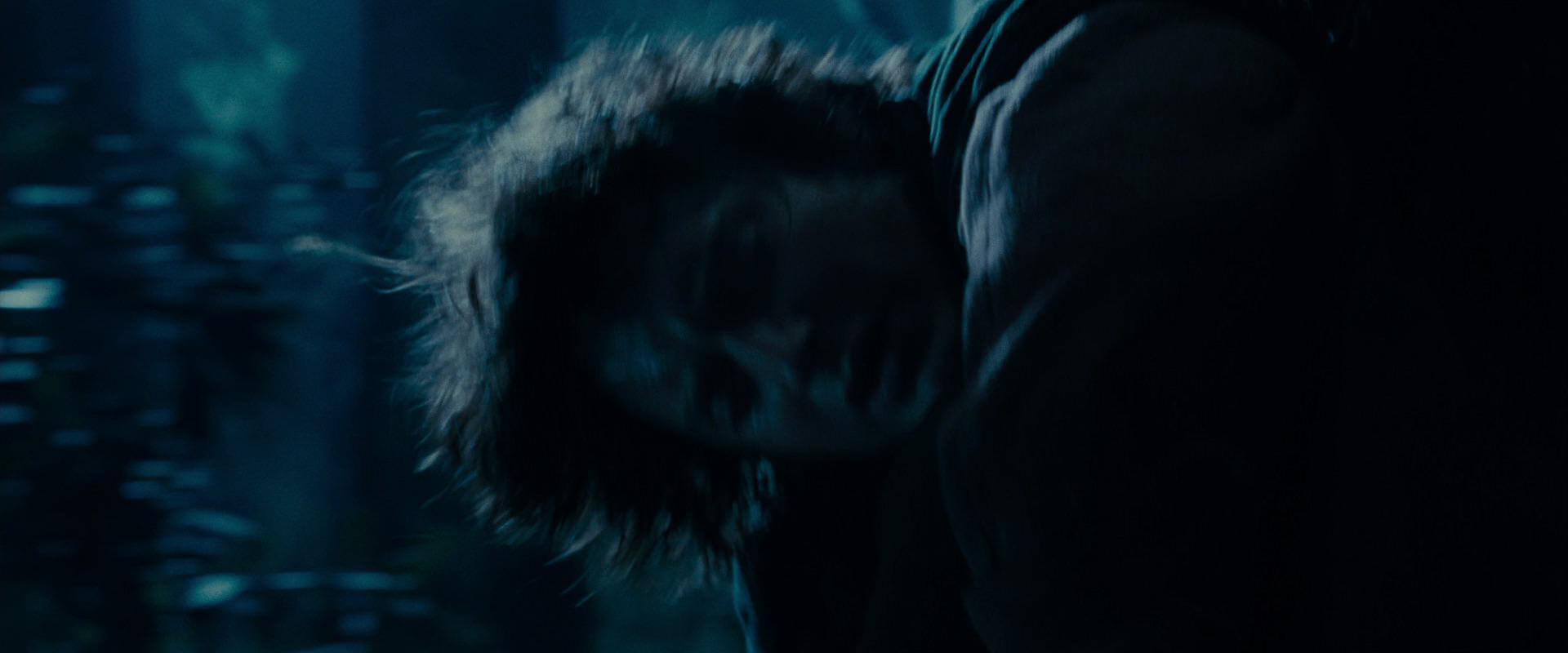 The Lord of the Rings: The Fellowship of the Ring (2001) screencap 8769
