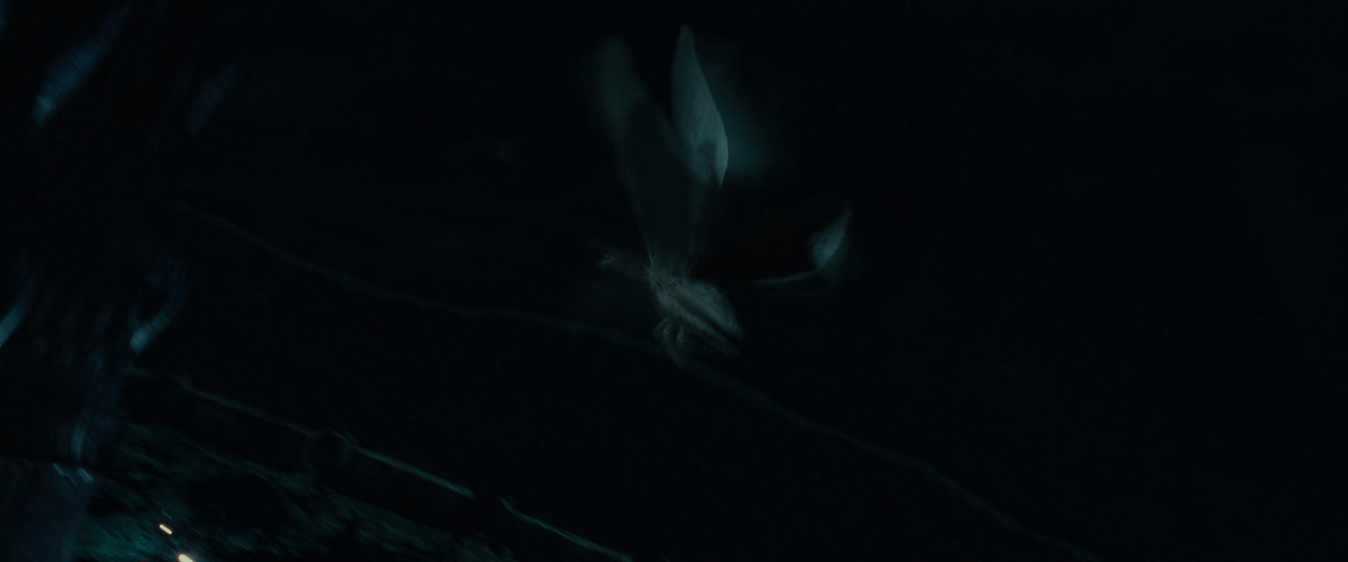 The Lord of the Rings: The Fellowship of the Ring (2001) screencap 8841