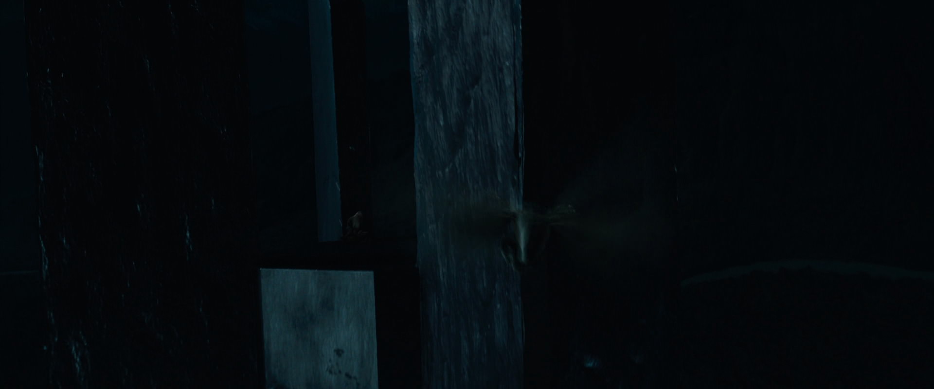 The Lord of the Rings: The Fellowship of the Ring (2001) screencap 8850