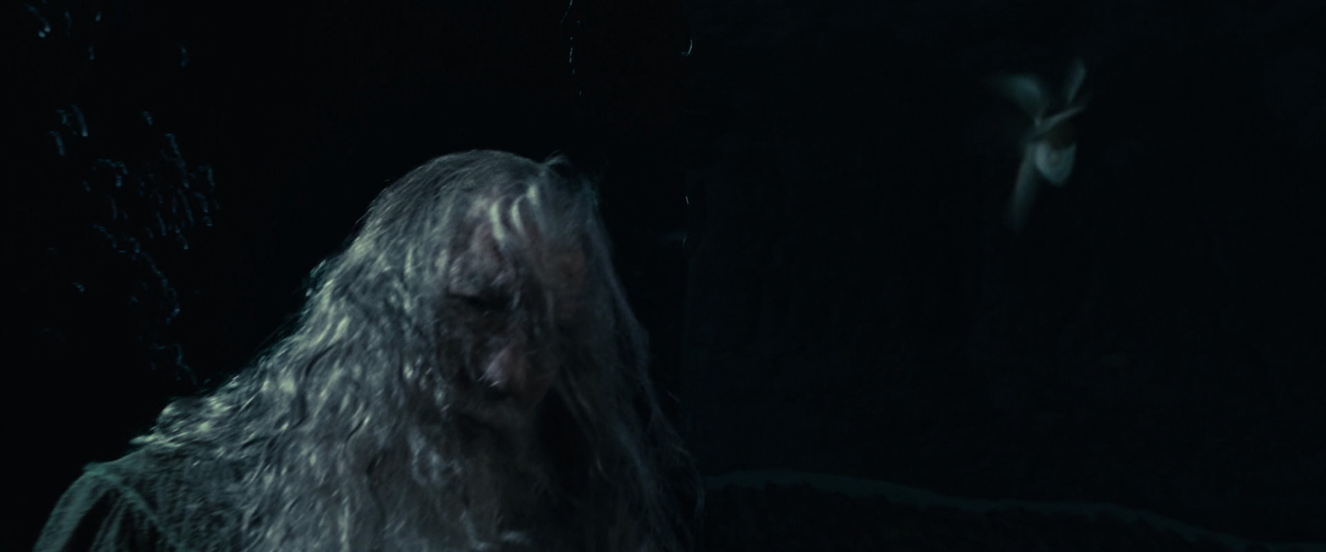 The Lord of the Rings: The Fellowship of the Ring (2001) screencap 8874